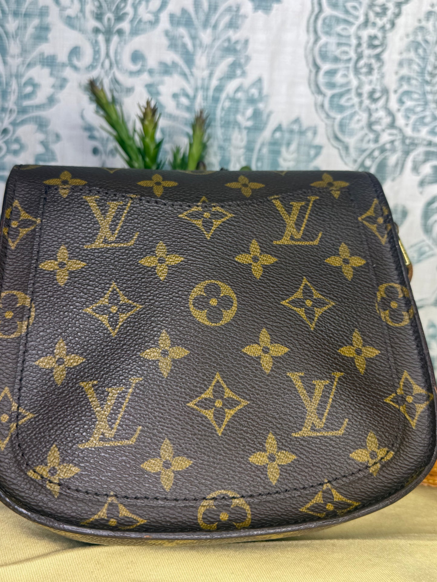 Louis Vuitton Saint Cloud PM #1