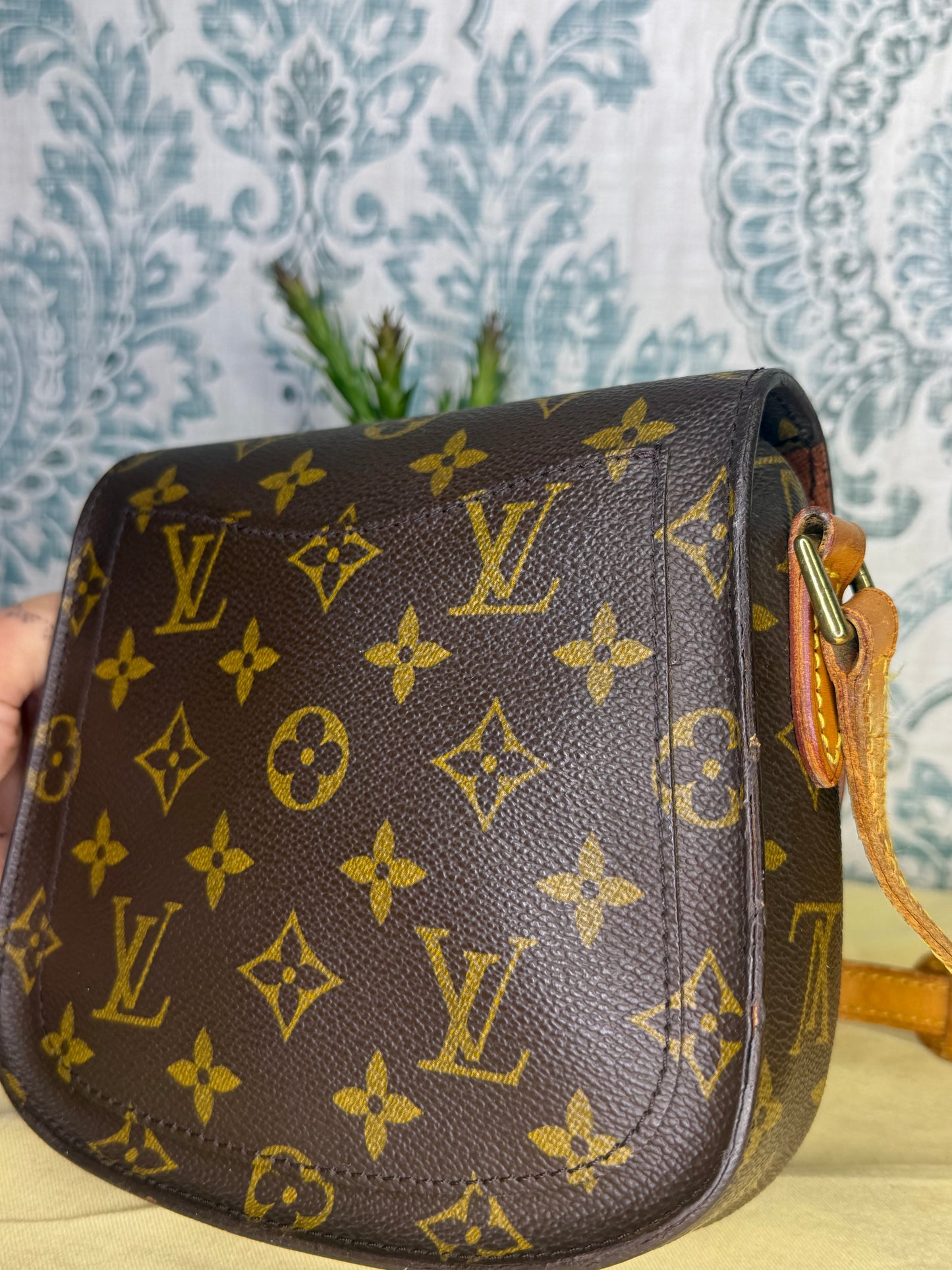 Louis Vuitton Saint Cloud PM #1