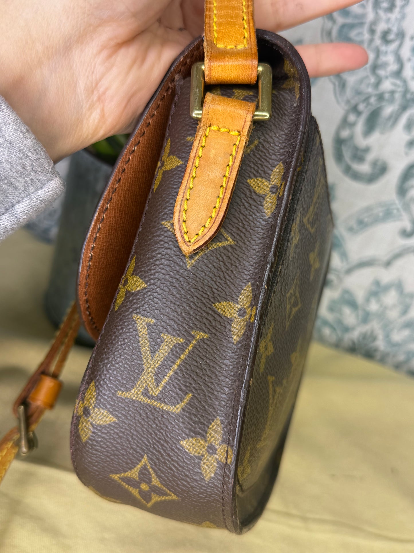Louis Vuitton Saint Cloud PM #1