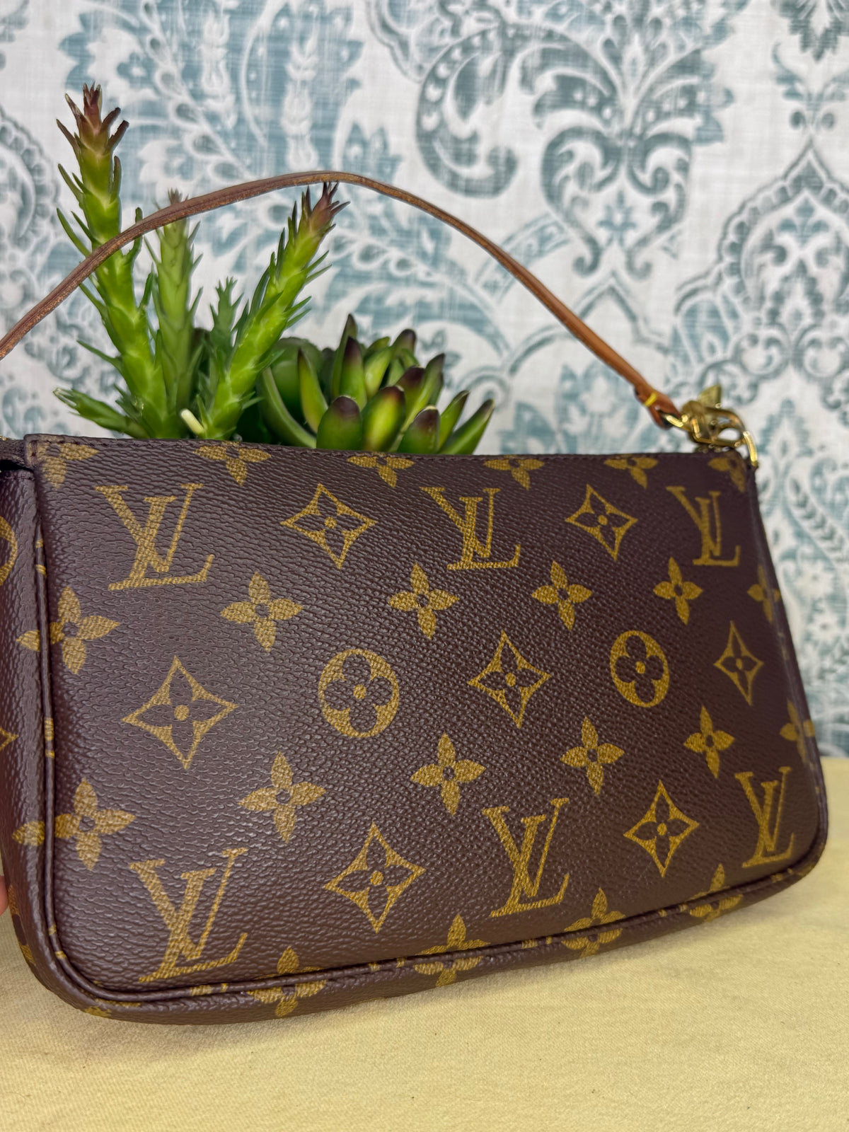 Louis Vuitton Pochette Accessories