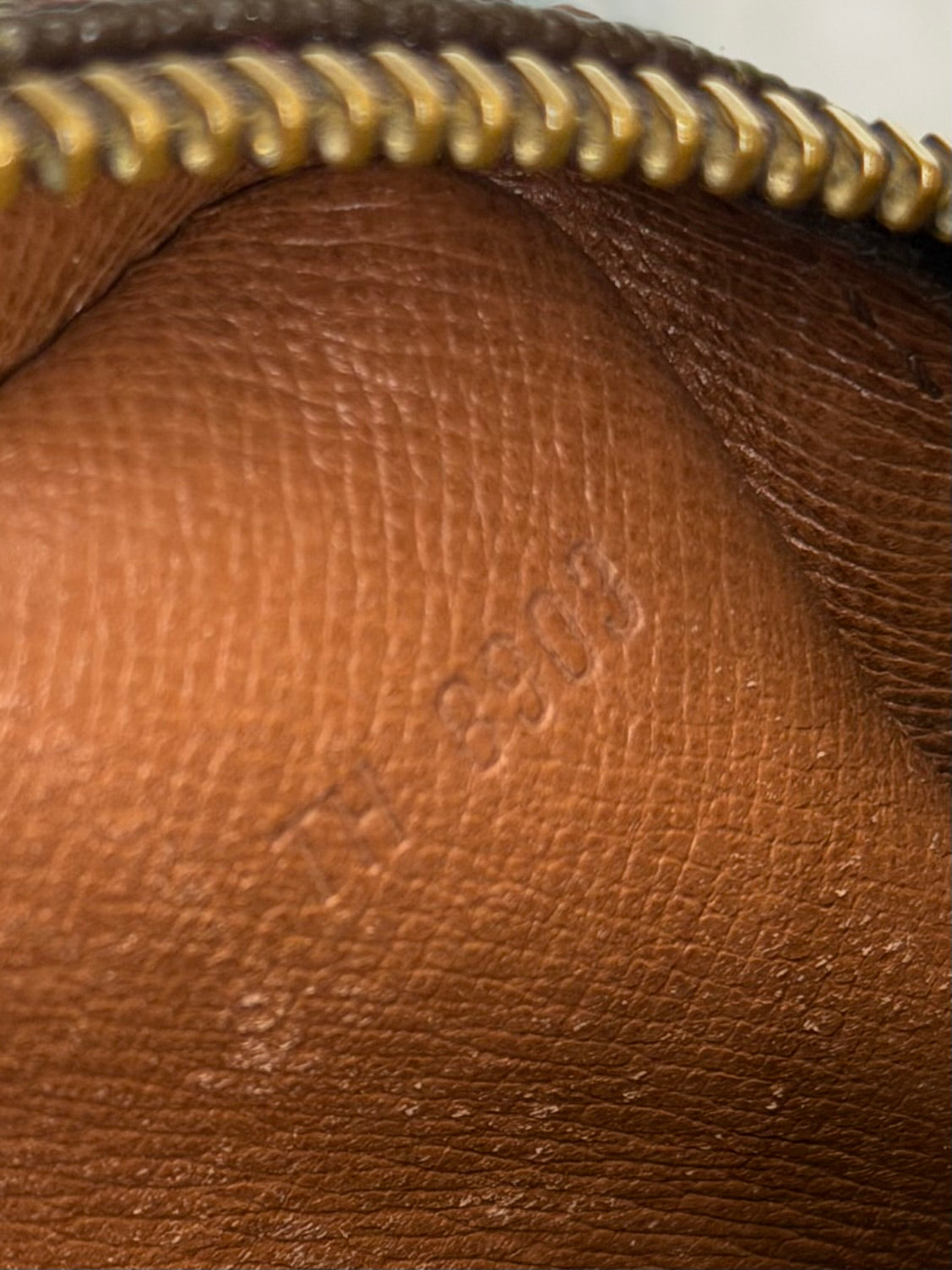 Louis Vuitton Amazon PM