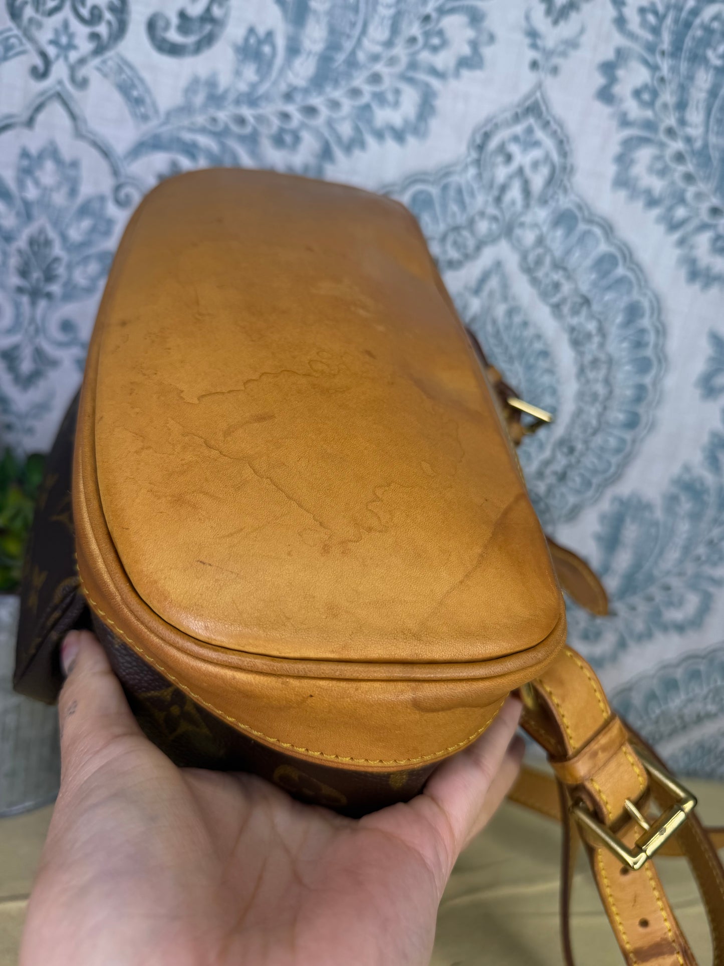 Louis Vuitton Montsouris MM