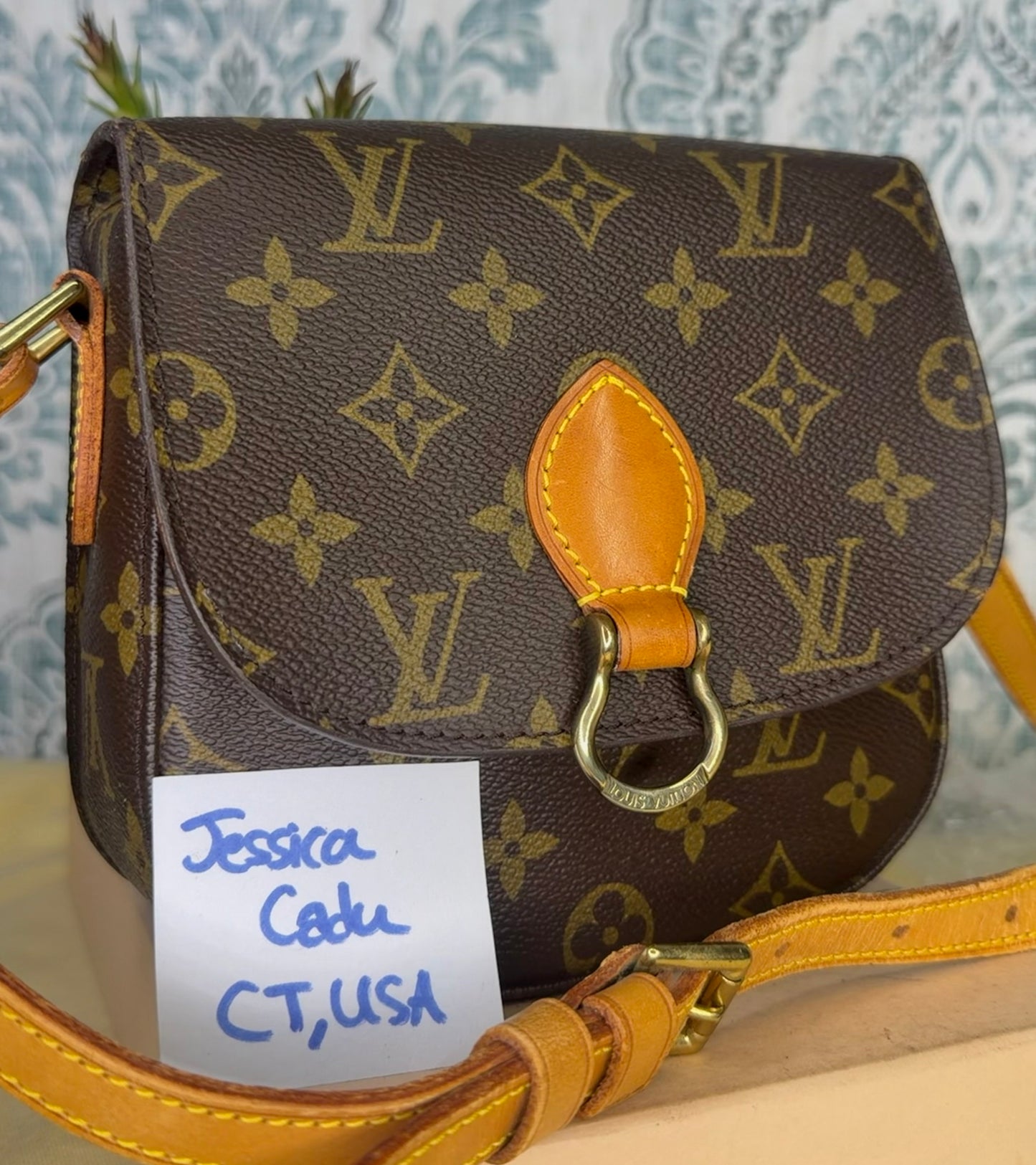 Louis Vuitton Saint Cloud PM #2