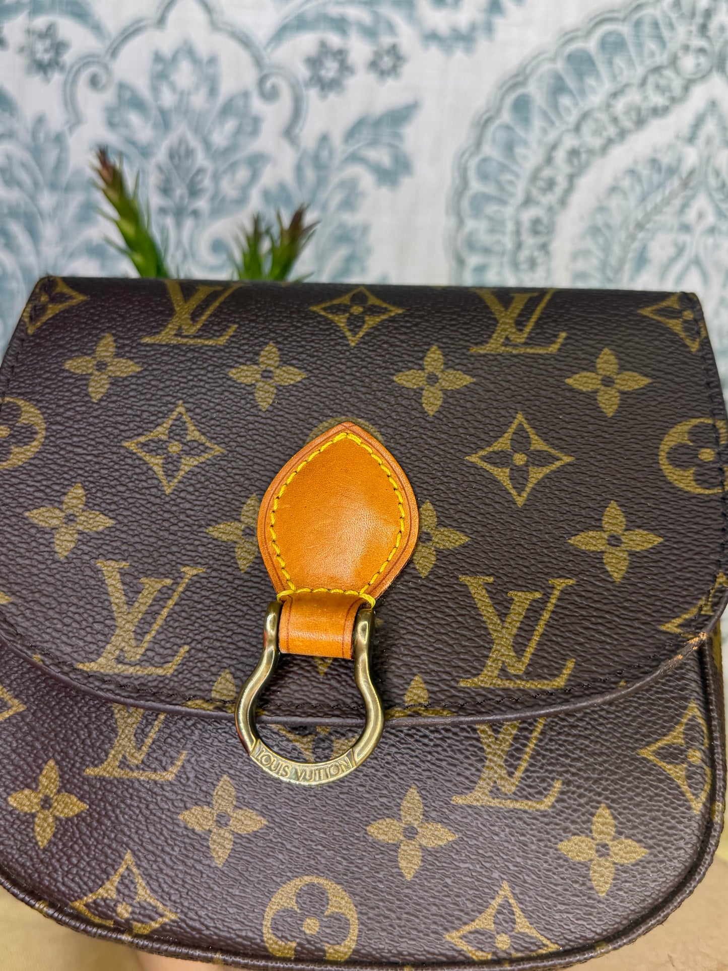 Louis Vuitton Saint Cloud PM #2