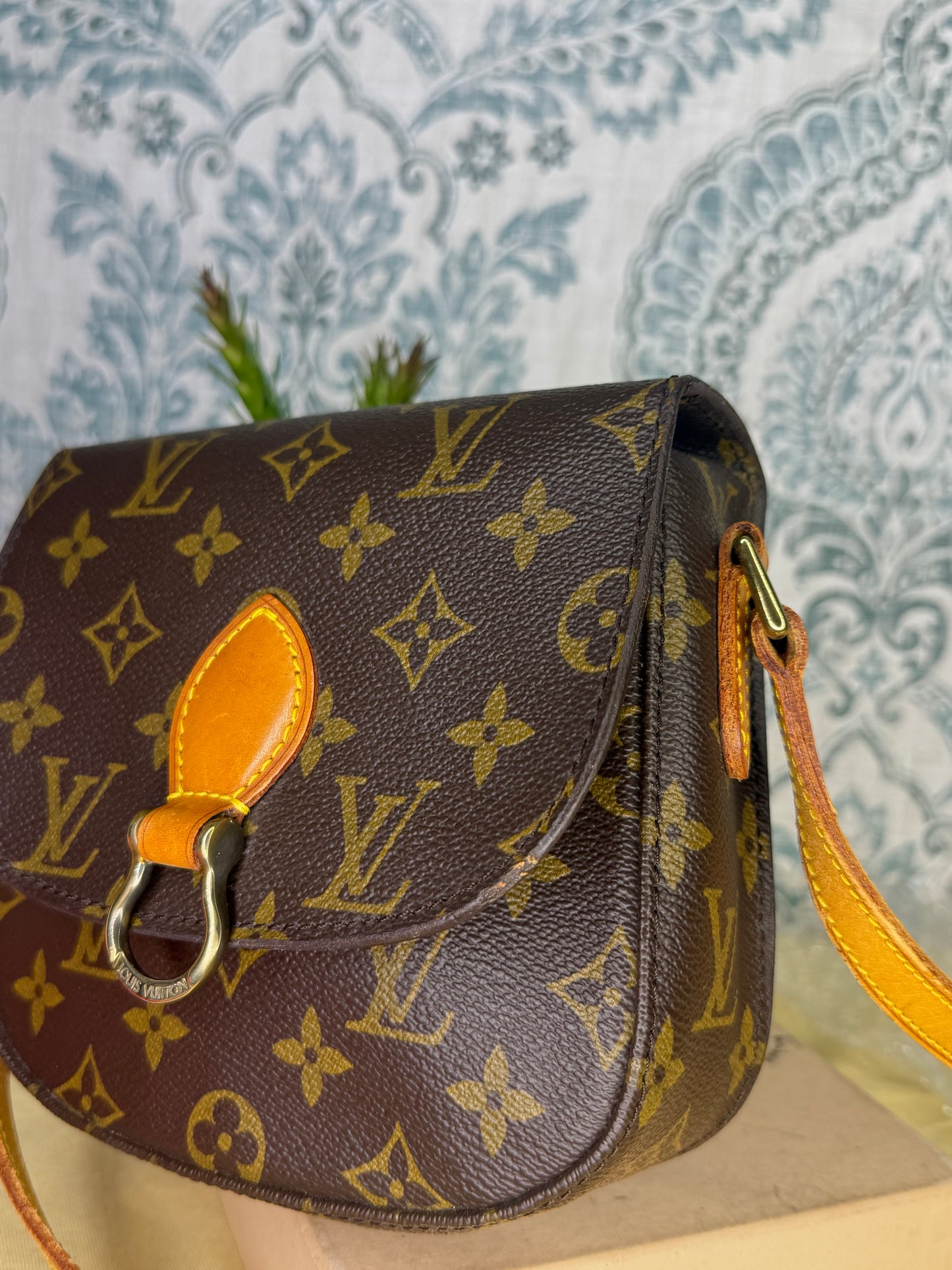 Louis Vuitton Saint Cloud PM #2