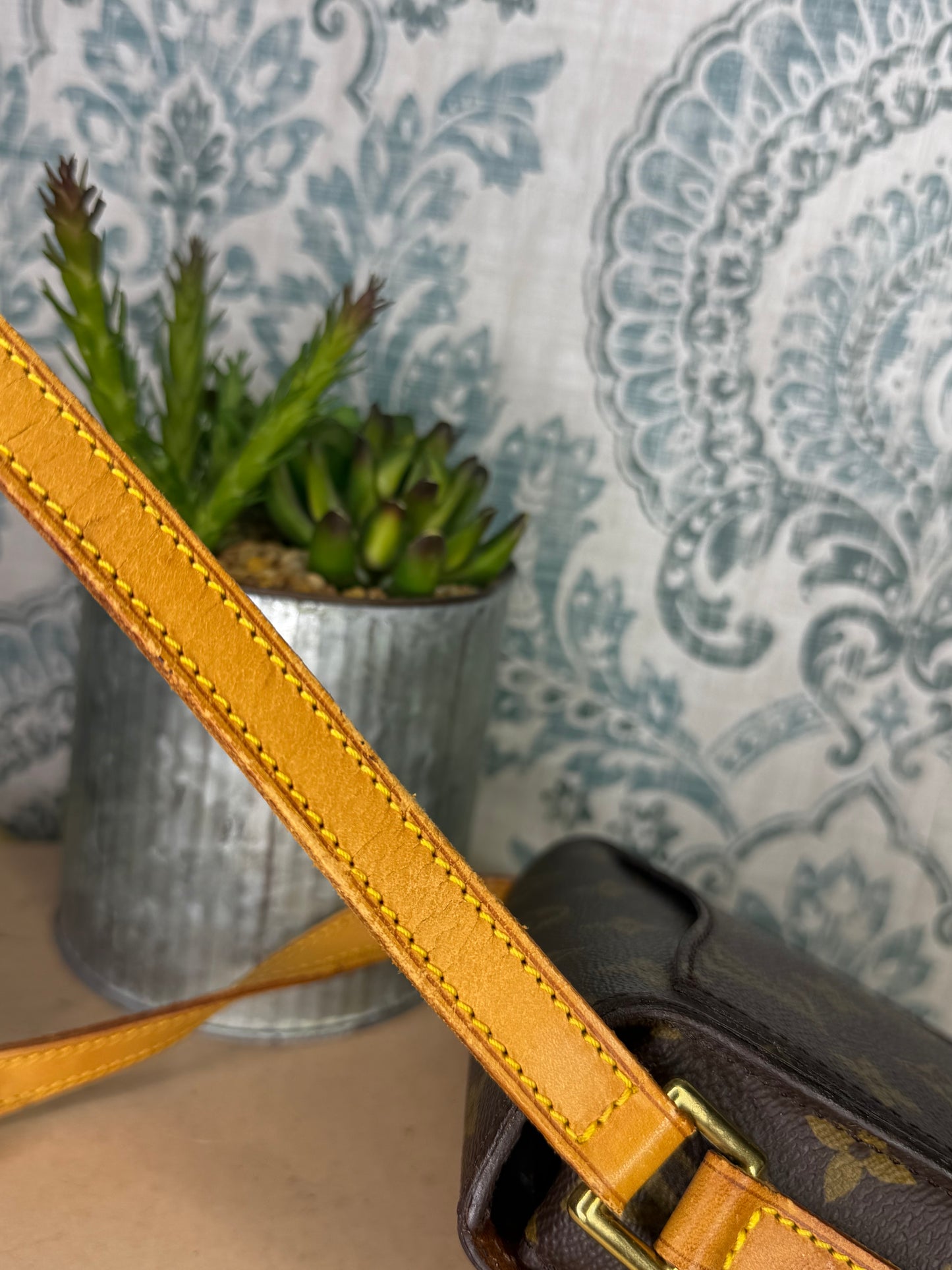 Louis Vuitton Saint Cloud PM #2