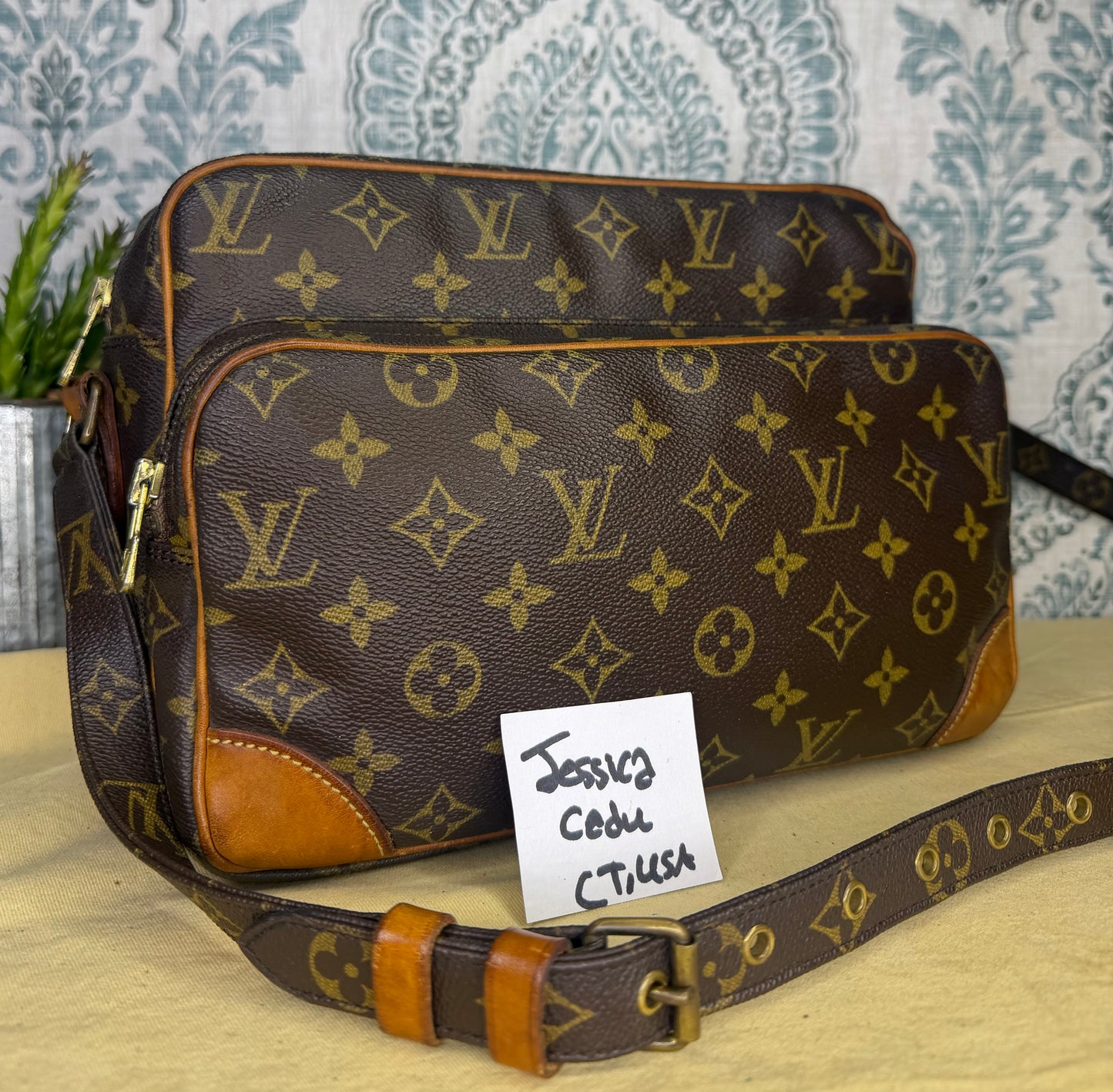 Louis Vuitton Nile PM