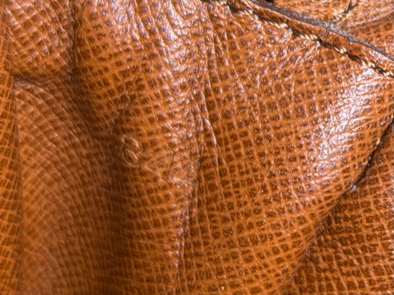 Louis Vuitton Marly Dragonne GM #3