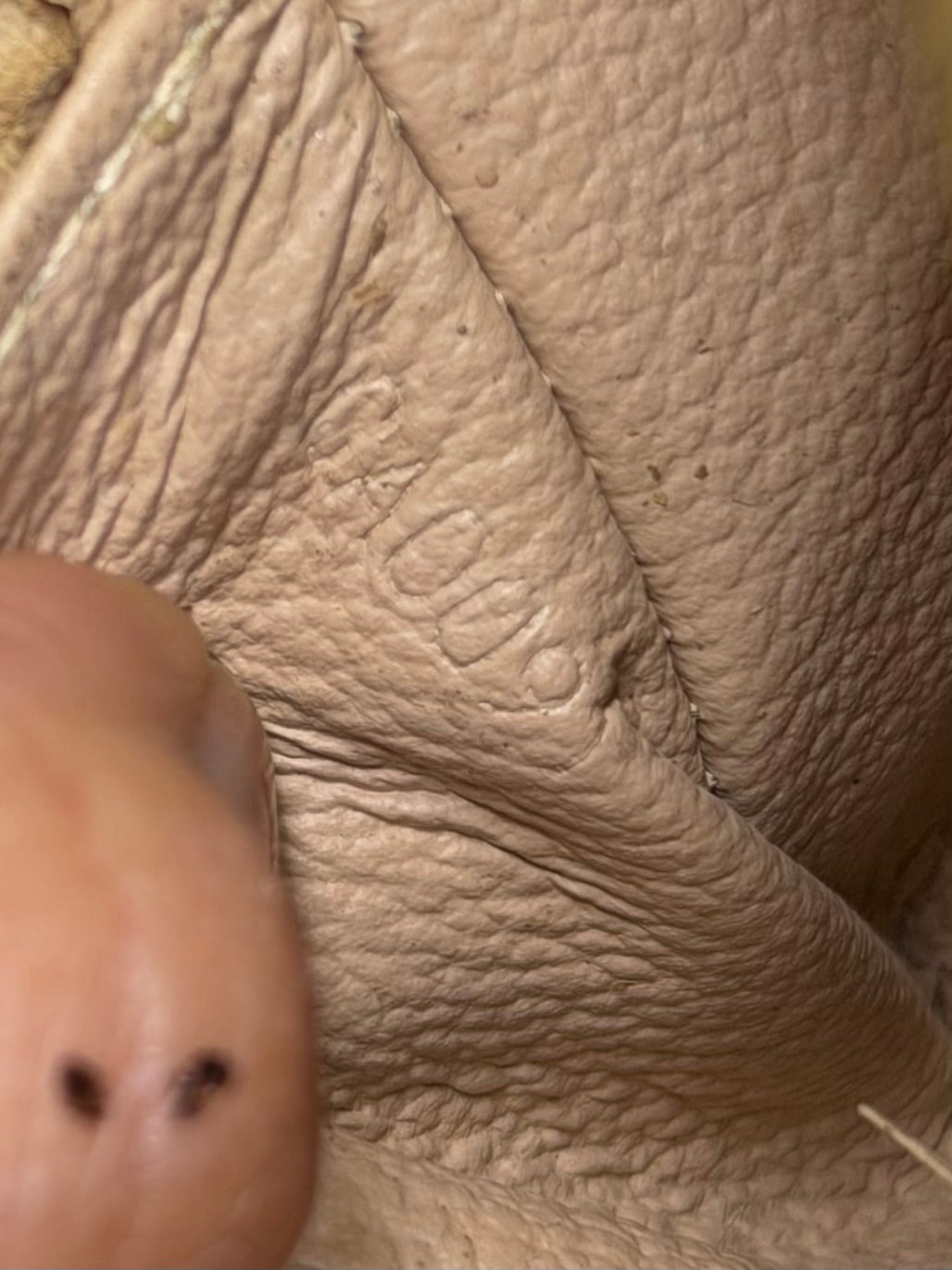 Louis Vuitton Cosmetic PM Pouch #3