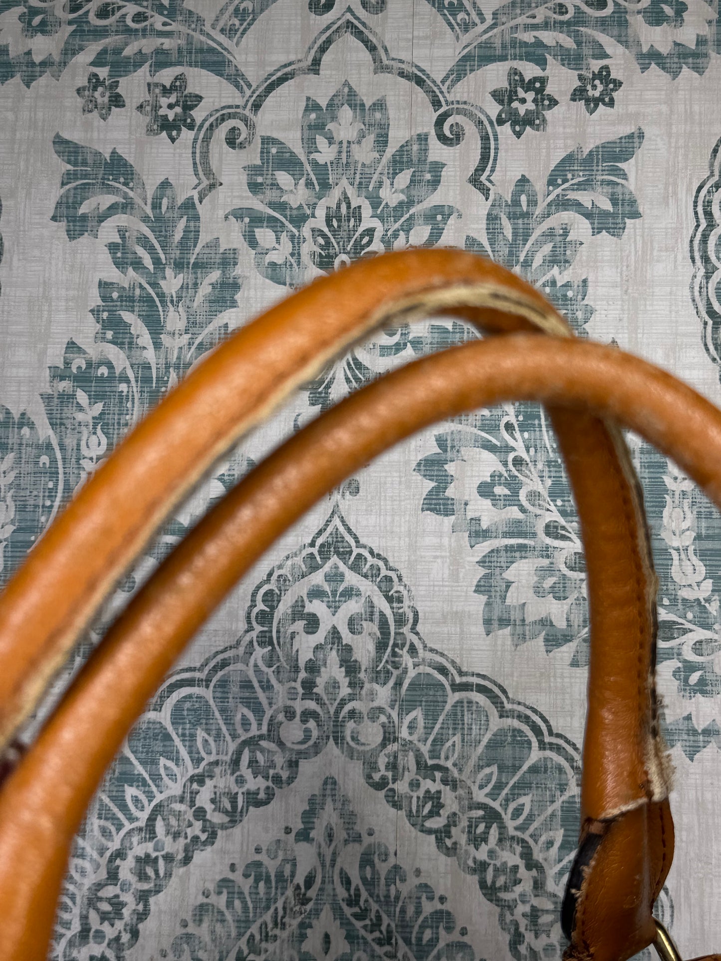 Chloe Haley Brown Handbag