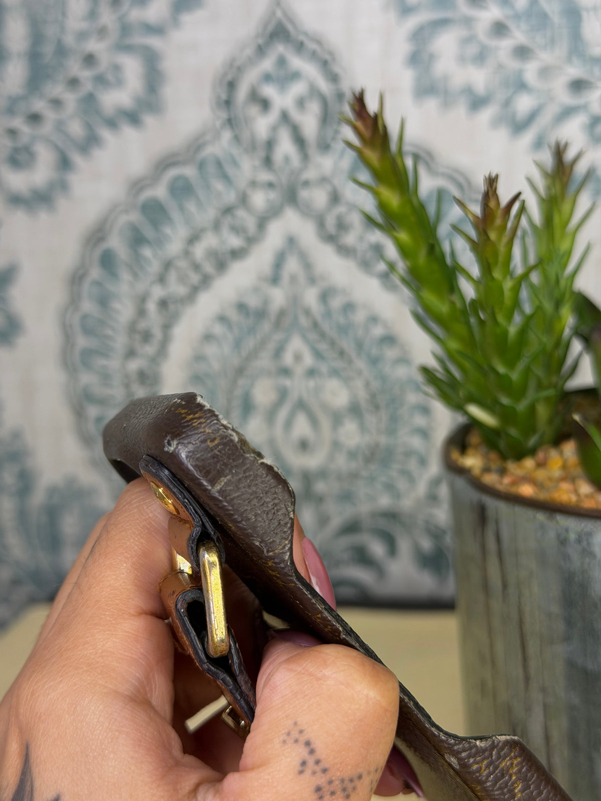 Louis Vuitton 13 Pro Monogram Case