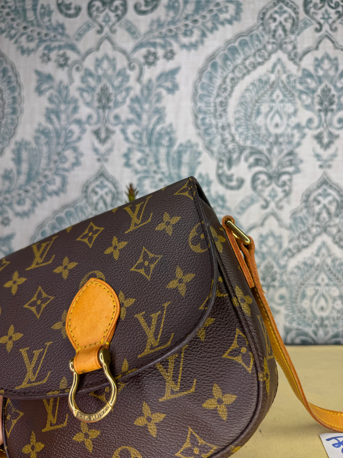 Louis Vuitton Saint Cloud PM